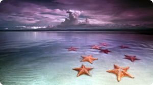 Бокас дель Торо пляж морских звезд